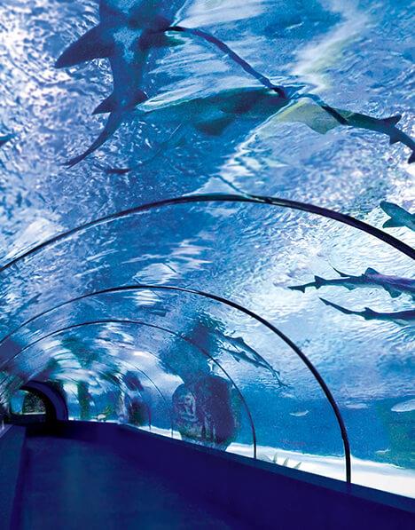 Antalya Aquarium