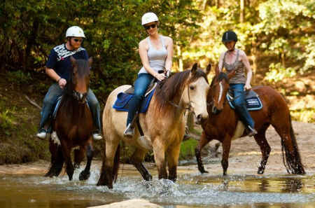 Horseback Riding (2 hours)